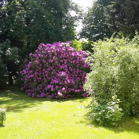 Casa de hóspedes Woelfel